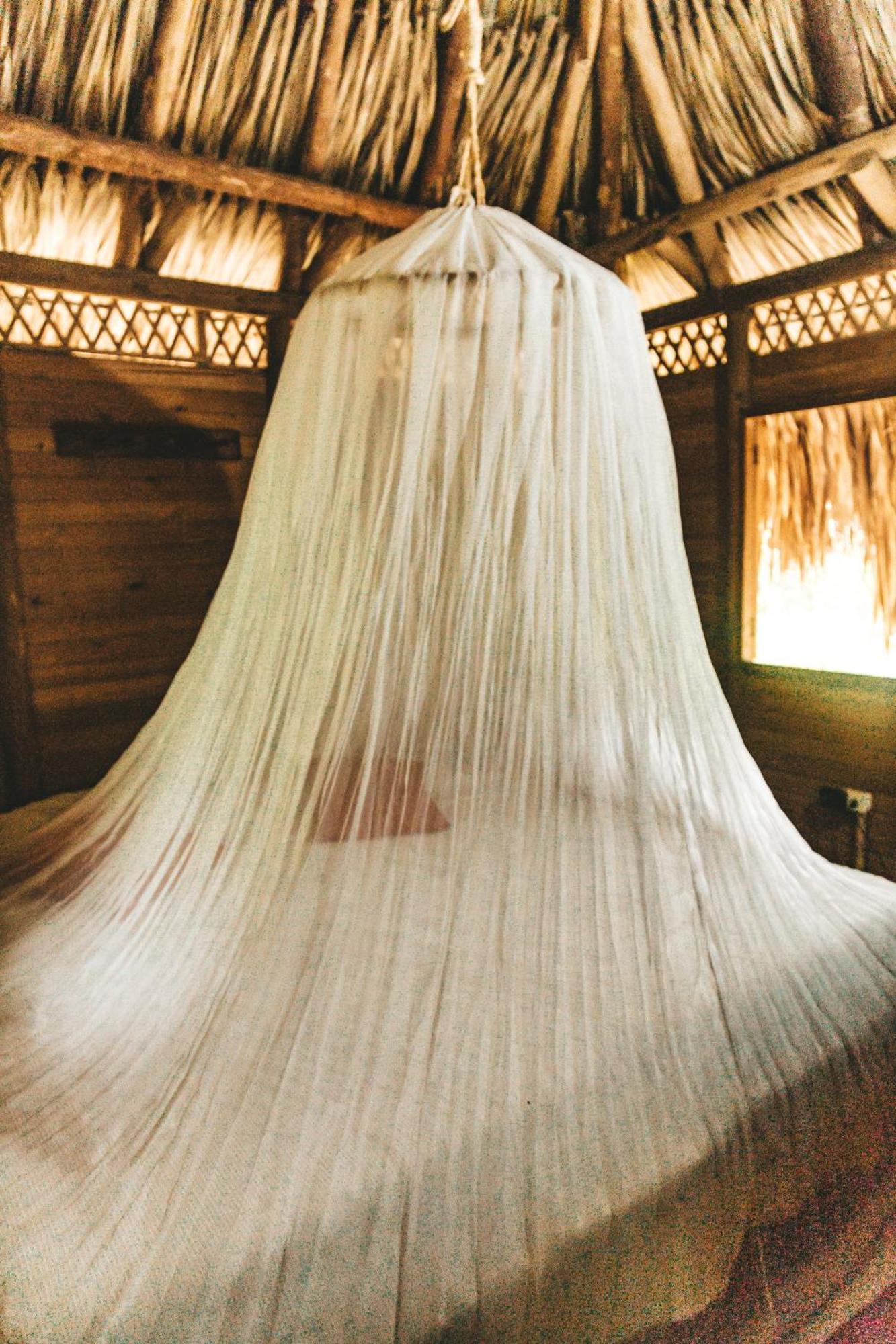 Cabana Wiwa Tayrona ロス・ナランホス エクステリア 写真