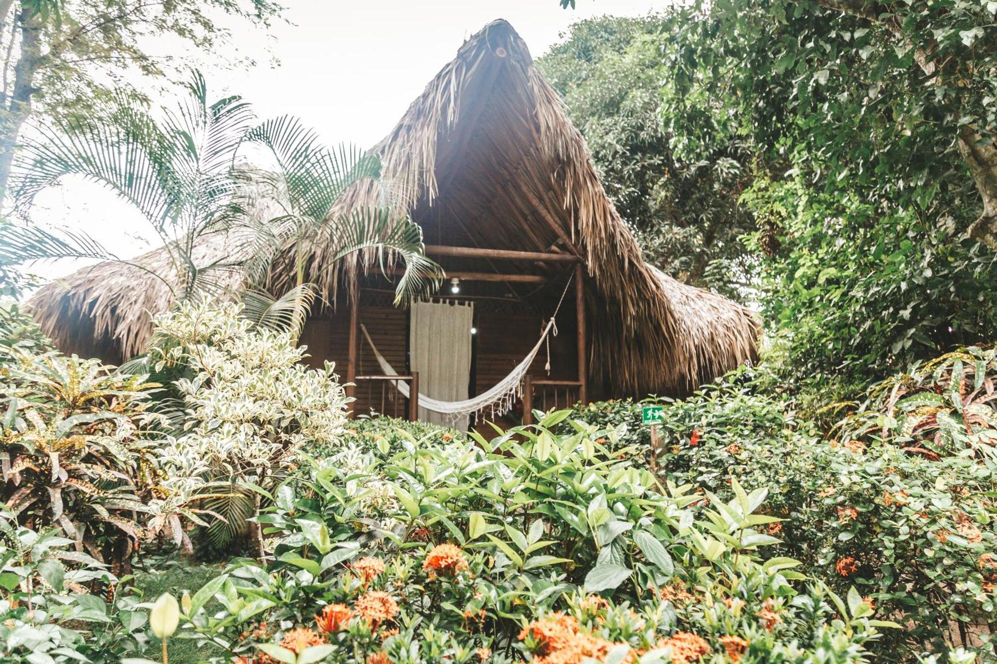 Cabana Wiwa Tayrona ロス・ナランホス エクステリア 写真